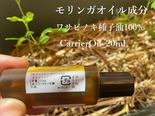 モリンガオイル「ワサビノキ種子油」100％のキャリアオイル