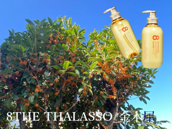 金木犀の木と花の背景画像にエイトザタラソの商品画像