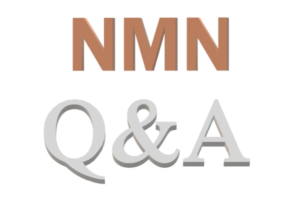 NMN「Q&A」の3Dロゴ画像