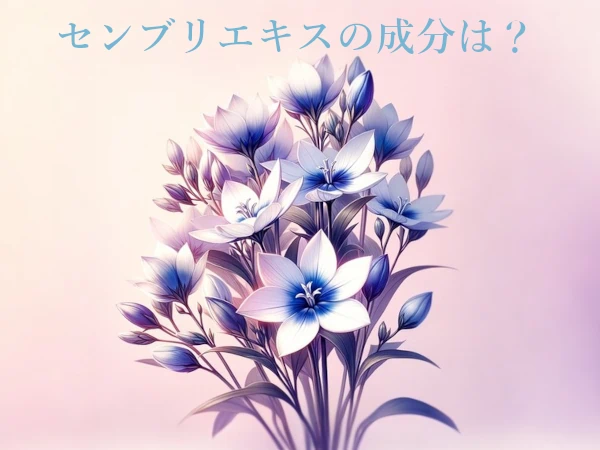 センブリの花イメージイラスト画像テキスト